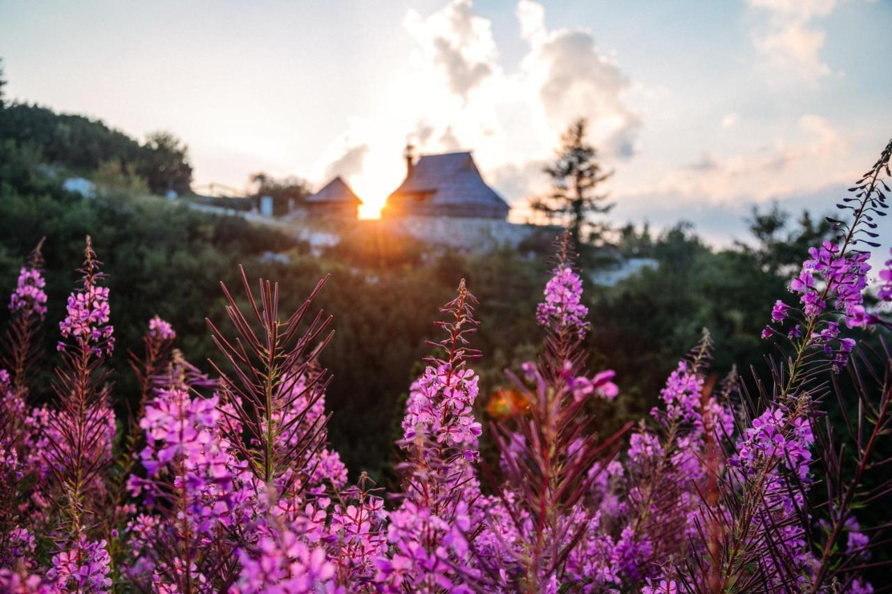 Villa Koca Ojstrica - Velika Planina Stahovica Exterior foto
