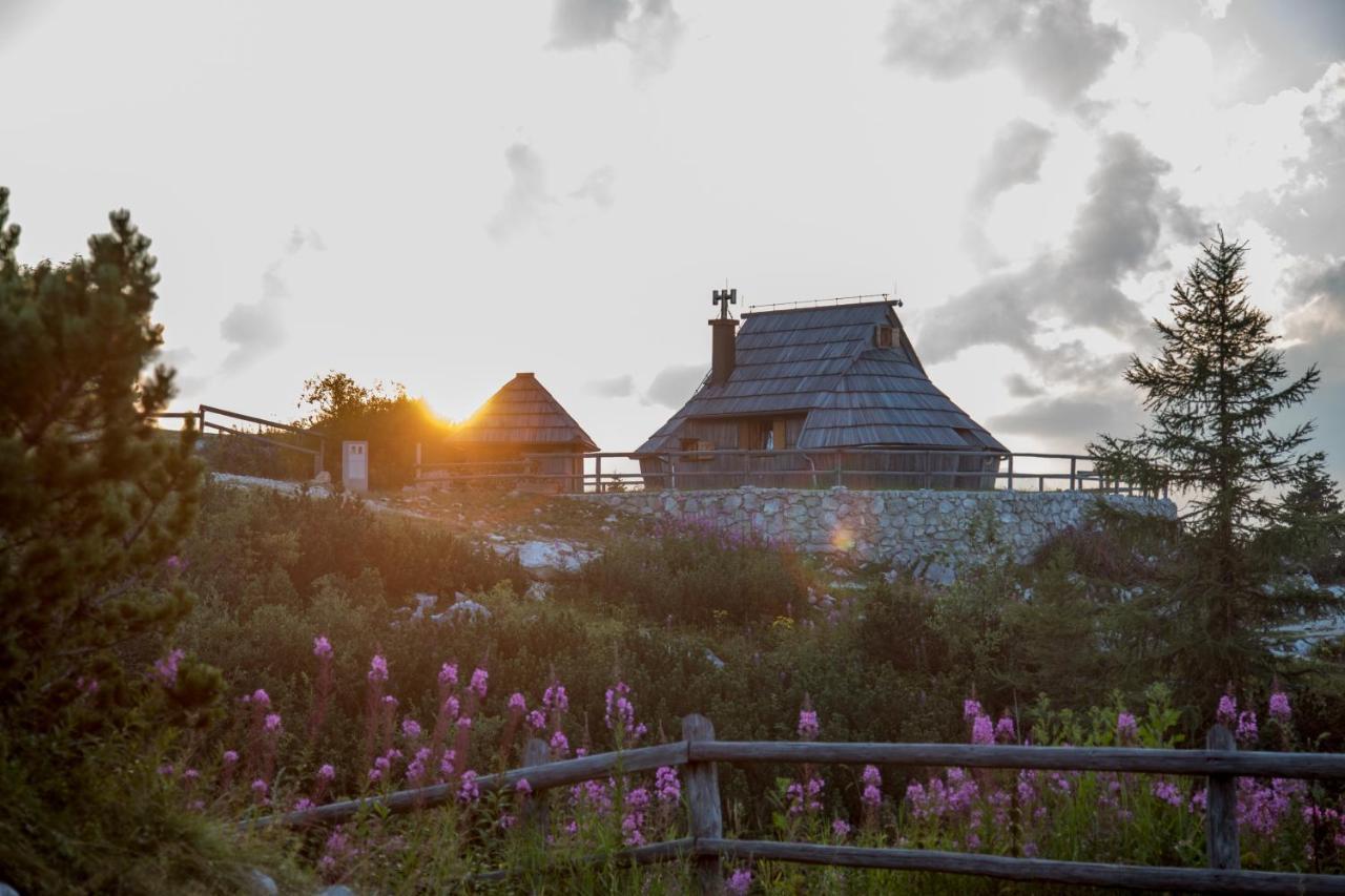 Villa Koca Ojstrica - Velika Planina Stahovica Exterior foto