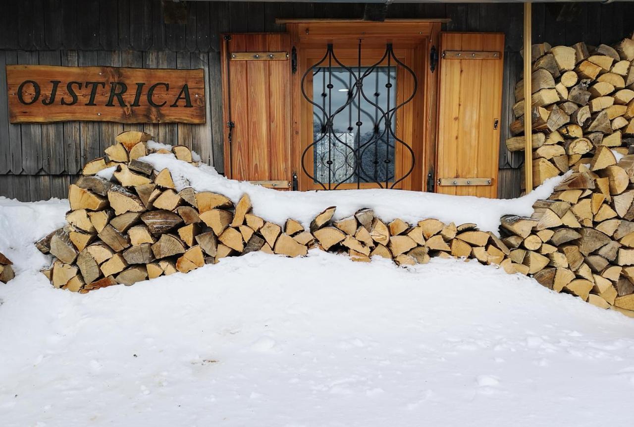 Villa Koca Ojstrica - Velika Planina Stahovica Exterior foto