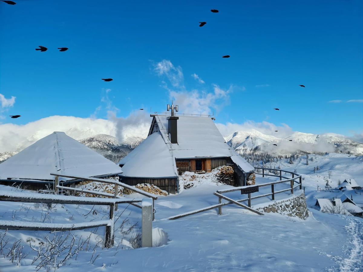 Villa Koca Ojstrica - Velika Planina Stahovica Exterior foto