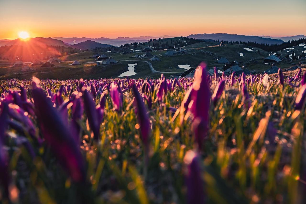 Villa Koca Ojstrica - Velika Planina Stahovica Exterior foto