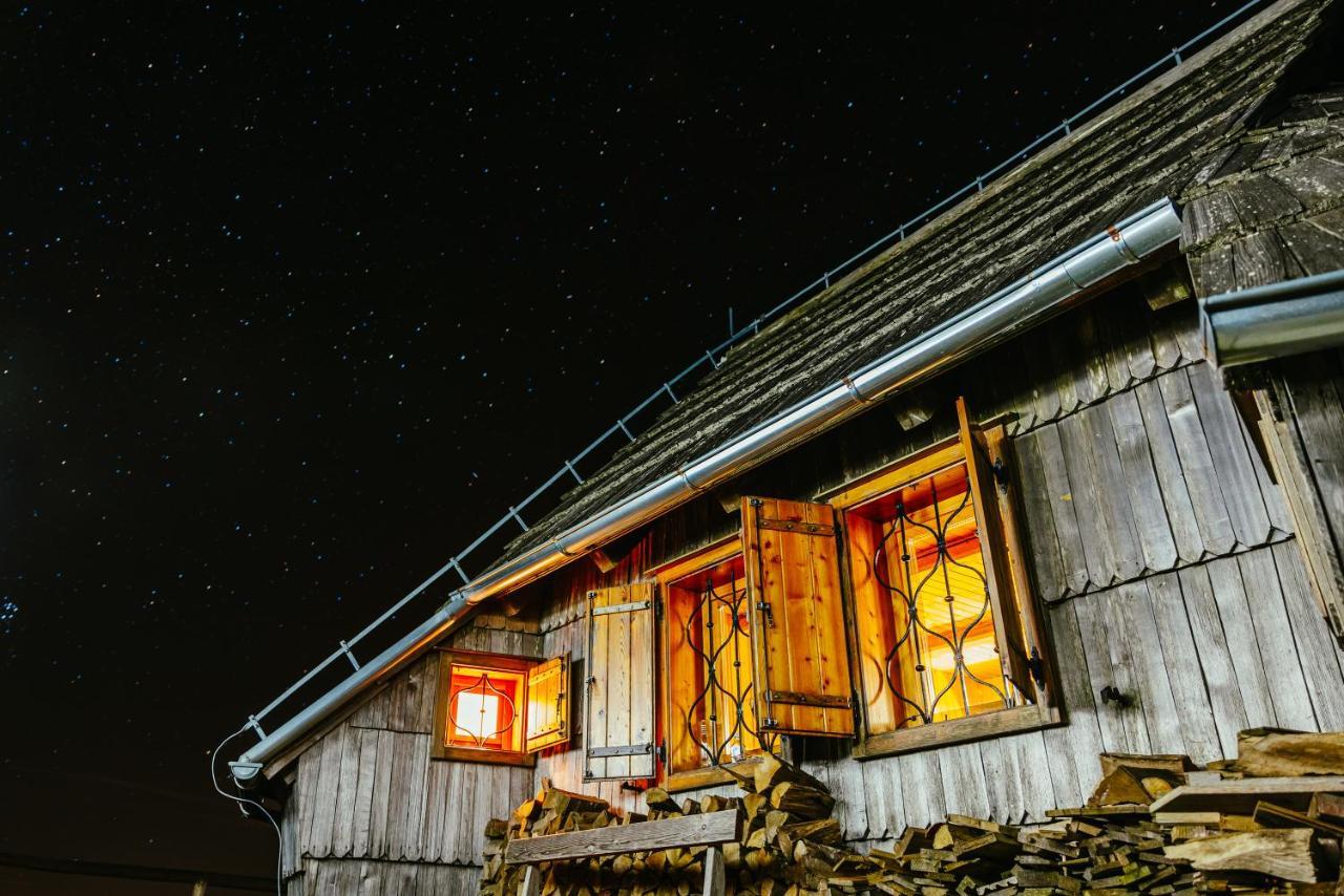 Villa Koca Ojstrica - Velika Planina Stahovica Exterior foto