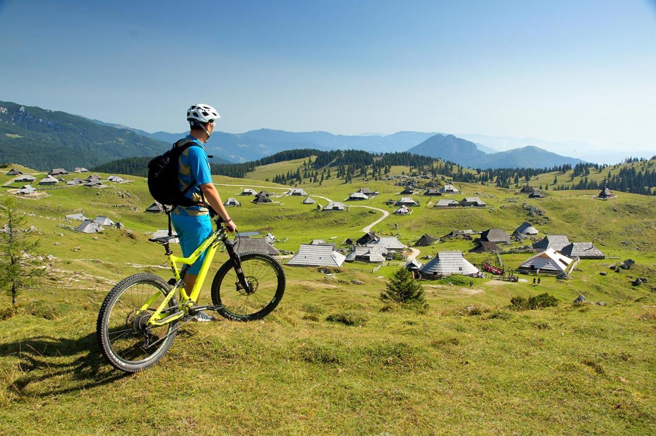 Villa Koca Ojstrica - Velika Planina Stahovica Exterior foto