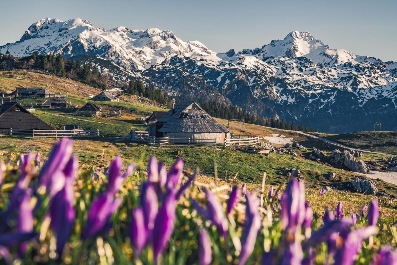 Villa Koca Ojstrica - Velika Planina Stahovica Exterior foto