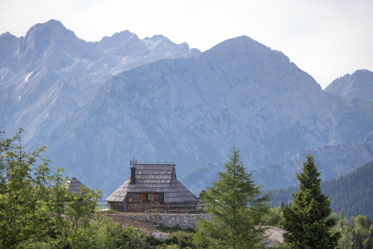 Villa Koca Ojstrica - Velika Planina Stahovica Exterior foto