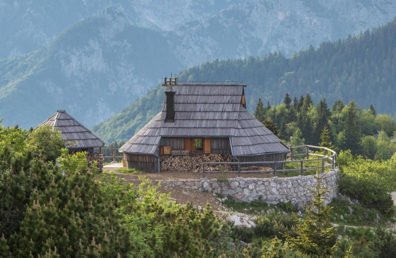 Villa Koca Ojstrica - Velika Planina Stahovica Exterior foto