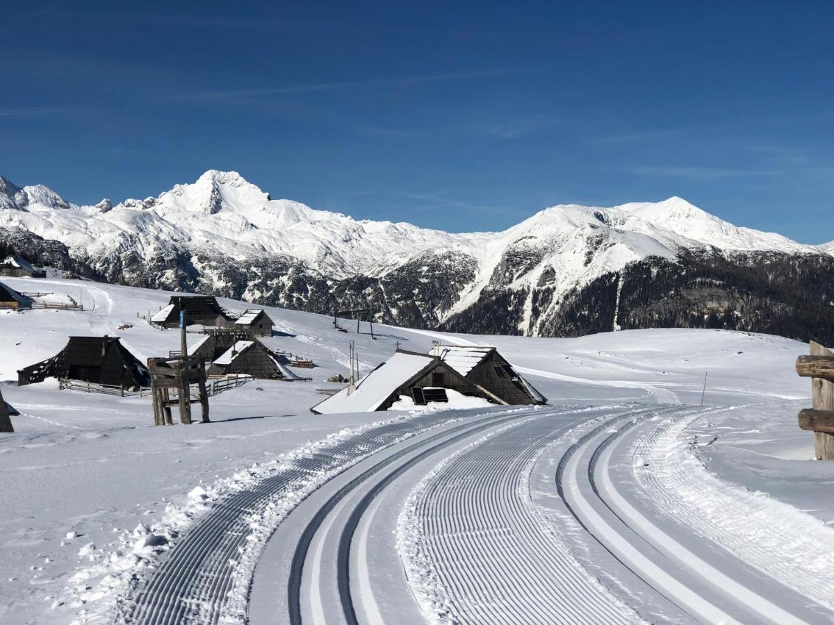 Villa Koca Ojstrica - Velika Planina Stahovica Exterior foto