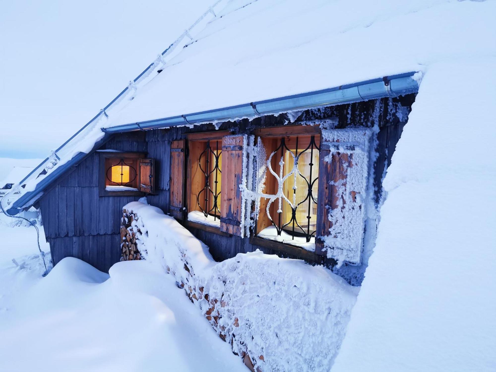 Villa Koca Ojstrica - Velika Planina Stahovica Exterior foto